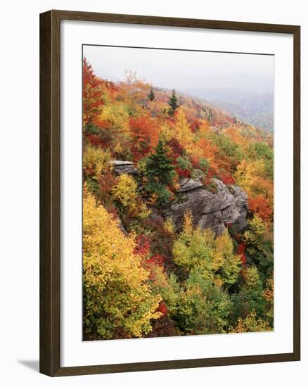 View of Autumnal Rocks, Blue Ridge Parkway, North Carolina, USA-Adam Jones-Framed Photographic Print