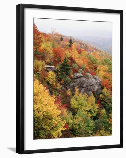 View of Autumnal Rocks, Blue Ridge Parkway, North Carolina, USA-Adam Jones-Framed Photographic Print