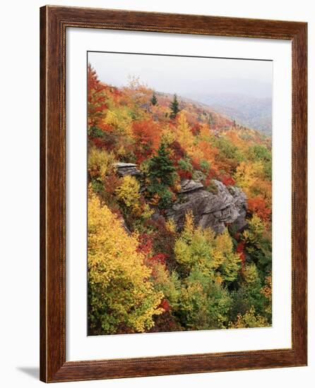 View of Autumnal Rocks, Blue Ridge Parkway, North Carolina, USA-Adam Jones-Framed Photographic Print