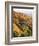 View of Autumnal Rocks, Blue Ridge Parkway, North Carolina, USA-Adam Jones-Framed Photographic Print