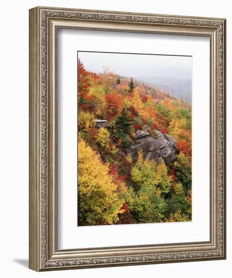 View of Autumnal Rocks, Blue Ridge Parkway, North Carolina, USA-Adam Jones-Framed Photographic Print