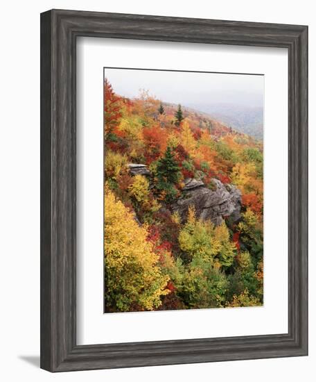 View of Autumnal Rocks, Blue Ridge Parkway, North Carolina, USA-Adam Jones-Framed Photographic Print