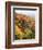 View of Autumnal Rocks, Blue Ridge Parkway, North Carolina, USA-Adam Jones-Framed Photographic Print