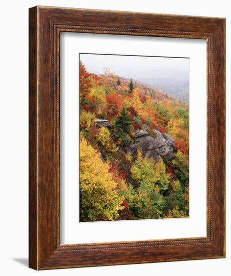 View of Autumnal Rocks, Blue Ridge Parkway, North Carolina, USA-Adam Jones-Framed Photographic Print