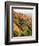 View of Autumnal Rocks, Blue Ridge Parkway, North Carolina, USA-Adam Jones-Framed Photographic Print