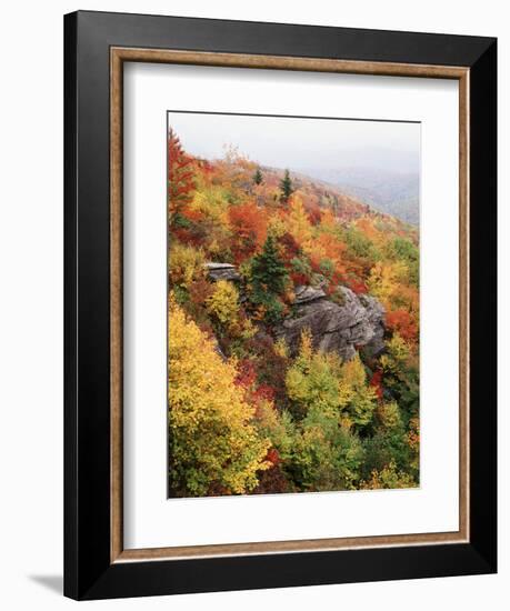 View of Autumnal Rocks, Blue Ridge Parkway, North Carolina, USA-Adam Jones-Framed Photographic Print