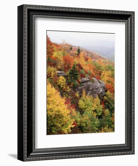 View of Autumnal Rocks, Blue Ridge Parkway, North Carolina, USA-Adam Jones-Framed Photographic Print