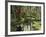 View of Azaleas and Cypresses Magnolia Plantation, Charleston, South Carolina, USA-Adam Jones-Framed Photographic Print