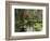 View of Azaleas and Cypresses Magnolia Plantation, Charleston, South Carolina, USA-Adam Jones-Framed Photographic Print