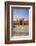 View of Badshahi Masjid, One of the Biggest Mosques in the World-Yasir Nisar-Framed Photographic Print