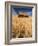 View of Barn Surrounded with Wheat Field, Palouse, Washington State, USA-Stuart Westmorland-Framed Photographic Print