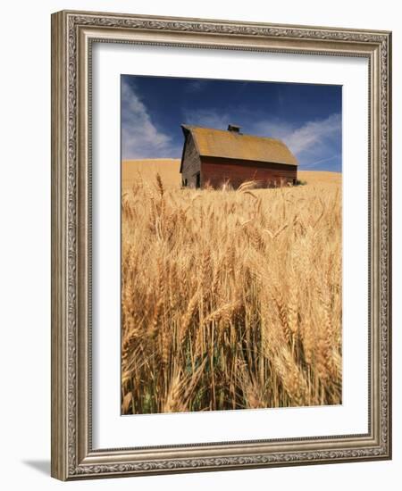 View of Barn Surrounded with Wheat Field, Palouse, Washington State, USA-Stuart Westmorland-Framed Photographic Print