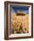 View of Barn Surrounded with Wheat Field, Palouse, Washington State, USA-Stuart Westmorland-Framed Photographic Print