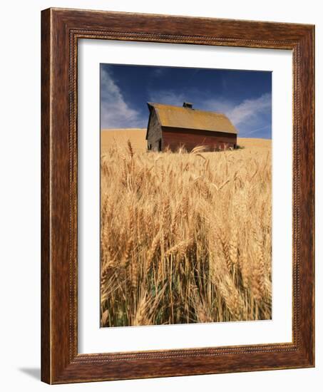 View of Barn Surrounded with Wheat Field, Palouse, Washington State, USA-Stuart Westmorland-Framed Photographic Print