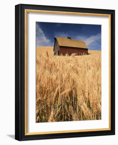 View of Barn Surrounded with Wheat Field, Palouse, Washington State, USA-Stuart Westmorland-Framed Photographic Print