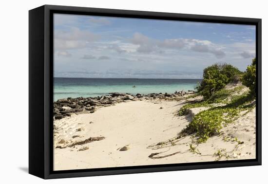 View of Beach and Sea of Zanj, Ihla Das Rolas, Mozambique-Alida Latham-Framed Premier Image Canvas