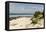 View of Beach and Sea of Zanj, Ihla Das Rolas, Mozambique-Alida Latham-Framed Premier Image Canvas