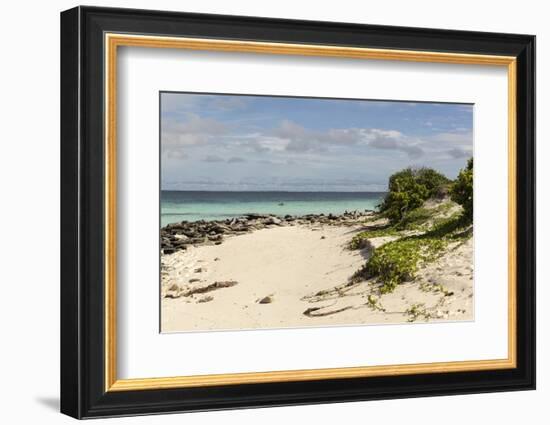 View of Beach and Sea of Zanj, Ihla Das Rolas, Mozambique-Alida Latham-Framed Photographic Print