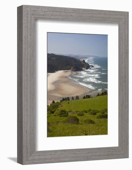 View of Beach, Cascade Head, Oregon, USA-Jamie & Judy Wild-Framed Photographic Print