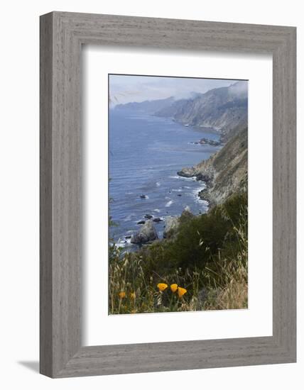 View of Big Sur coastline in California, USA-Natalie Tepper-Framed Photo