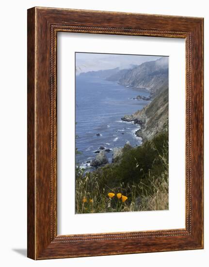 View of Big Sur coastline in California, USA-Natalie Tepper-Framed Photo