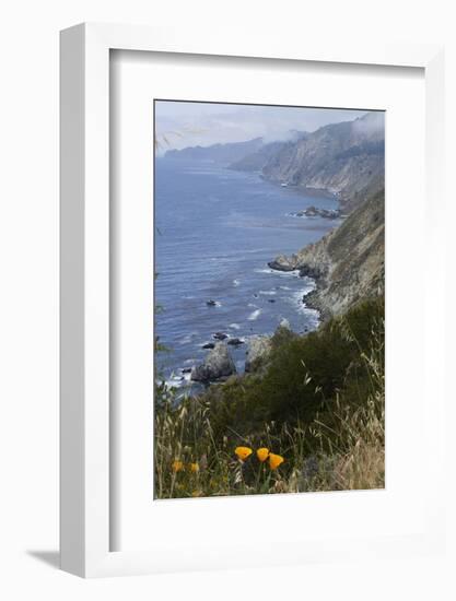View of Big Sur coastline in California, USA-Natalie Tepper-Framed Photo