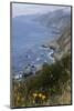 View of Big Sur coastline in California, USA-Natalie Tepper-Mounted Photo