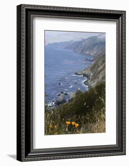 View of Big Sur coastline in California, USA-Natalie Tepper-Framed Photo