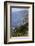 View of Big Sur coastline in California, USA-Natalie Tepper-Framed Photo