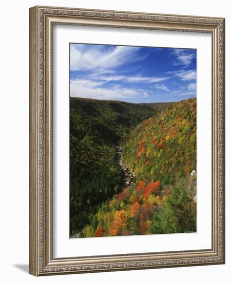 View of Blackwater Canyon in Autumn, Blackwater Falls State Park, West Virginia, USA-Adam Jones-Framed Photographic Print