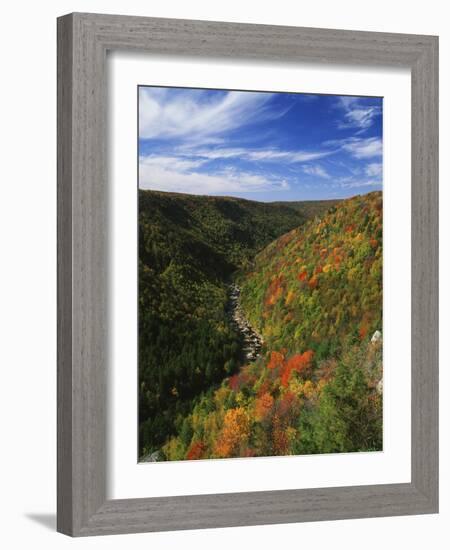 View of Blackwater Canyon in Autumn, Blackwater Falls State Park, West Virginia, USA-Adam Jones-Framed Photographic Print