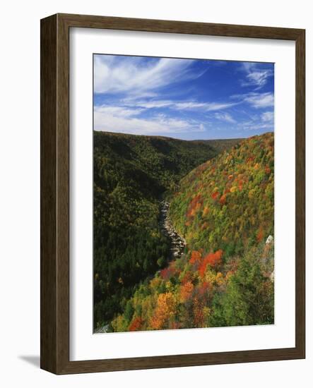 View of Blackwater Canyon in Autumn, Blackwater Falls State Park, West Virginia, USA-Adam Jones-Framed Photographic Print