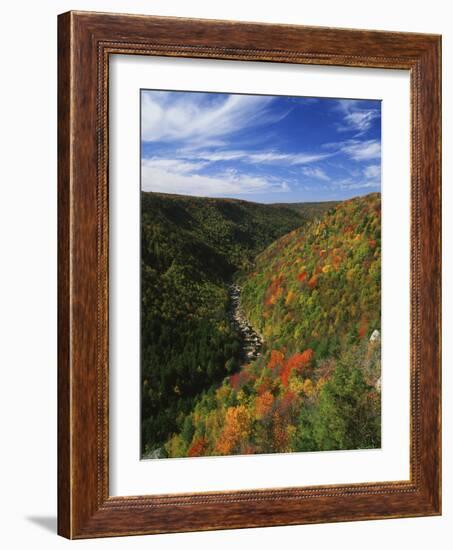 View of Blackwater Canyon in Autumn, Blackwater Falls State Park, West Virginia, USA-Adam Jones-Framed Photographic Print