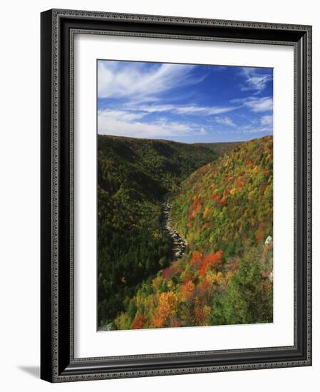 View of Blackwater Canyon in Autumn, Blackwater Falls State Park, West Virginia, USA-Adam Jones-Framed Photographic Print