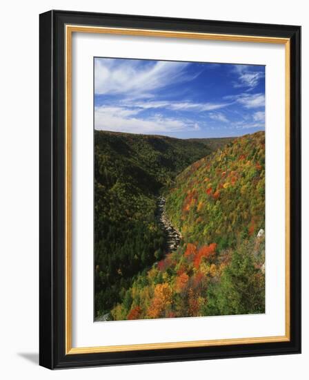 View of Blackwater Canyon in Autumn, Blackwater Falls State Park, West Virginia, USA-Adam Jones-Framed Photographic Print