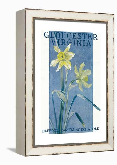 View of Blooming Daffodils - Gloucester, VA-Lantern Press-Framed Stretched Canvas