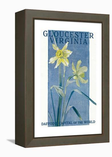 View of Blooming Daffodils - Gloucester, VA-Lantern Press-Framed Stretched Canvas