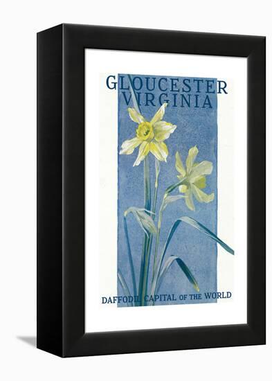 View of Blooming Daffodils - Gloucester, VA-Lantern Press-Framed Stretched Canvas