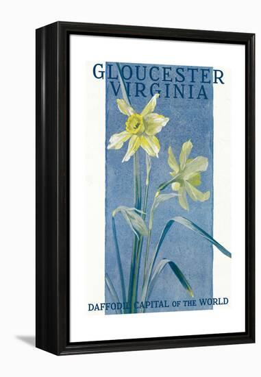 View of Blooming Daffodils - Gloucester, VA-Lantern Press-Framed Stretched Canvas