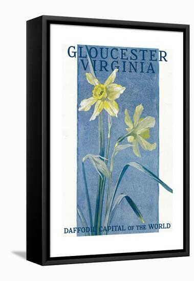 View of Blooming Daffodils - Gloucester, VA-Lantern Press-Framed Stretched Canvas