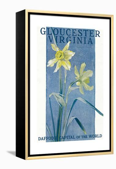 View of Blooming Daffodils - Gloucester, VA-Lantern Press-Framed Stretched Canvas