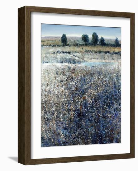 View of Blueberry Creek-O'Toole O'Toole-Framed Giclee Print