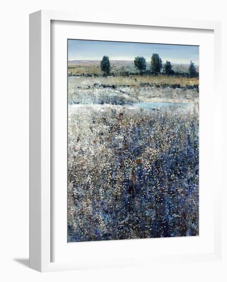 View of Blueberry Creek-O'Toole O'Toole-Framed Giclee Print