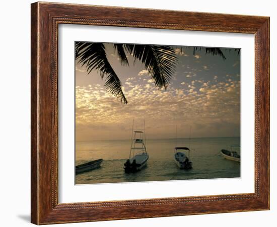 View of boats in the morning, Playa del Carmen, Quintana Roo, Mexico-Walter Bibikow-Framed Photographic Print