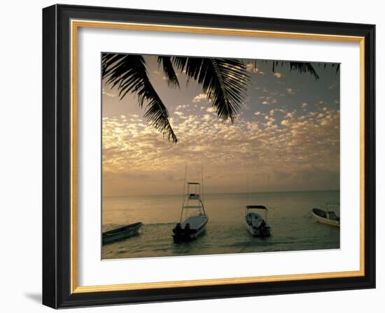 View of boats in the morning, Playa del Carmen, Quintana Roo, Mexico-Walter Bibikow-Framed Photographic Print