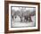 View of Boys Playing Basketball on a Court at Tompkins Square Park on Arbor Day, New York, 1904-Byron Company-Framed Giclee Print