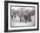 View of Boys Playing Basketball on a Court at Tompkins Square Park on Arbor Day, New York, 1904-Byron Company-Framed Giclee Print