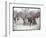 View of Boys Playing Basketball on a Court at Tompkins Square Park on Arbor Day, New York, 1904-Byron Company-Framed Giclee Print