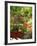 View of Butchart Garden, Victoria, British Columbia, Canada-Stuart Westmorland-Framed Photographic Print