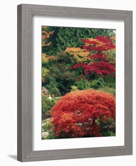 View of Butchart Garden, Victoria, British Columbia, Canada-Stuart Westmorland-Framed Photographic Print